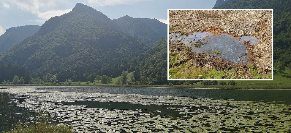 Sullo sfondo il lago d'Ampola, foto Mik2001 - Wikipedia
